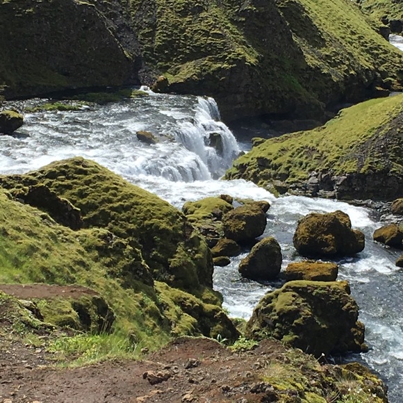 Meet your Posher, Megan - Picture 1 of 1